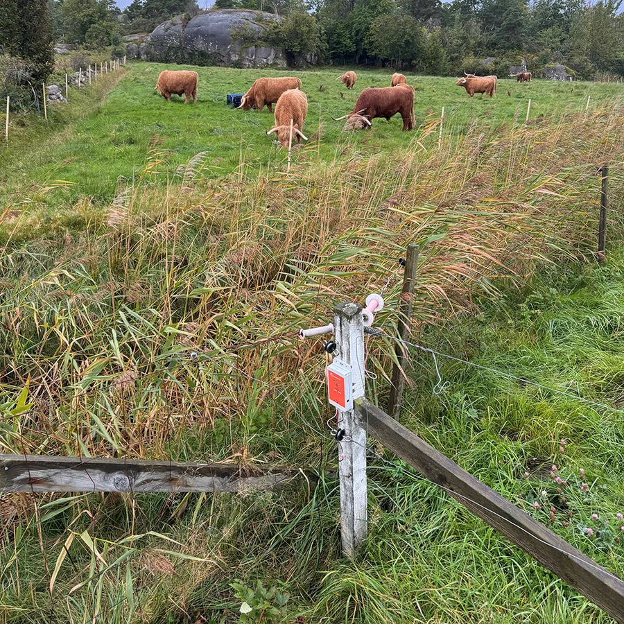FenceAlarm2 instalat pe gard electric într-o pășune